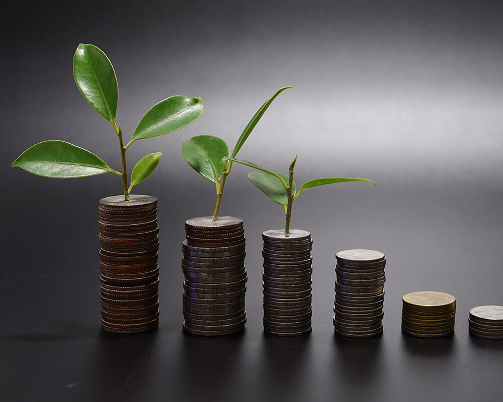 Automating and Optimizing the Bank Reconciliation Process with RPA