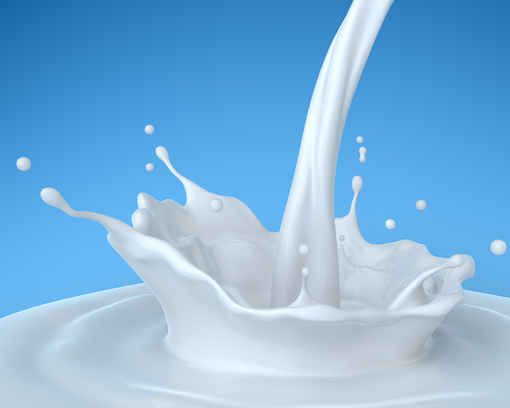 Re-engineered the Milk Procurement Process for a Leading Dairy Company Through SAP Supported Solution