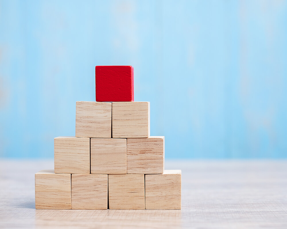 Organization Restructuring & Process Automation Fuels Business Growth & Expansion
